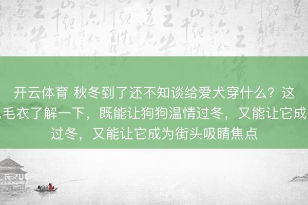 开云体育 秋冬到了还不知谈给爱犬穿什么？这款菠萝竭诚撞色毛衣了解一下，既能让狗狗温情过冬，又能让它成为街头吸睛焦点