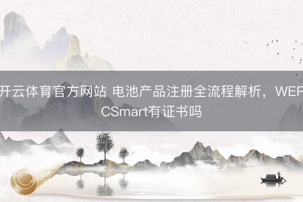 开云体育官方网站 电池产品注册全流程解析，WERCSmart有证书吗