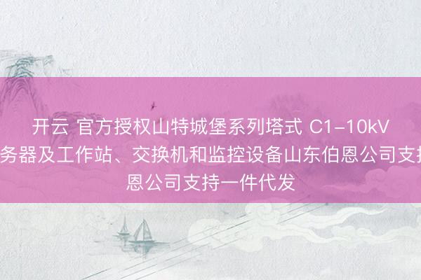 开云 官方授权山特城堡系列塔式 C1-10kVA中小型服务器及工作站、交换机和监控设备山东伯恩公司支持一件代发