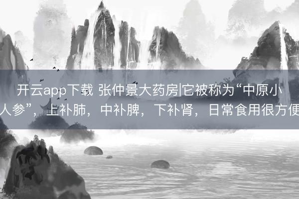 开云app下载 张仲景大药房|它被称为“中原小人参”，上补肺，中补脾，下补肾，日常食用很方便