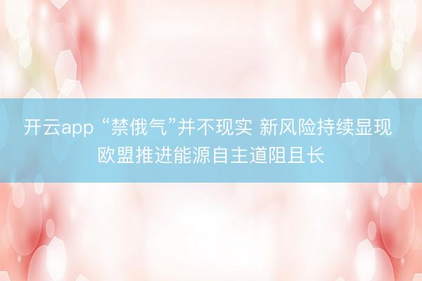 开云app “禁俄气”并不现实 新风险持续显现 欧盟推进能源自主道阻且长