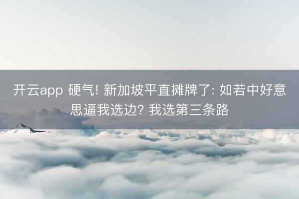 开云app 硬气! 新加坡平直摊牌了: 如若中好意思逼我选边? 我选第三条路